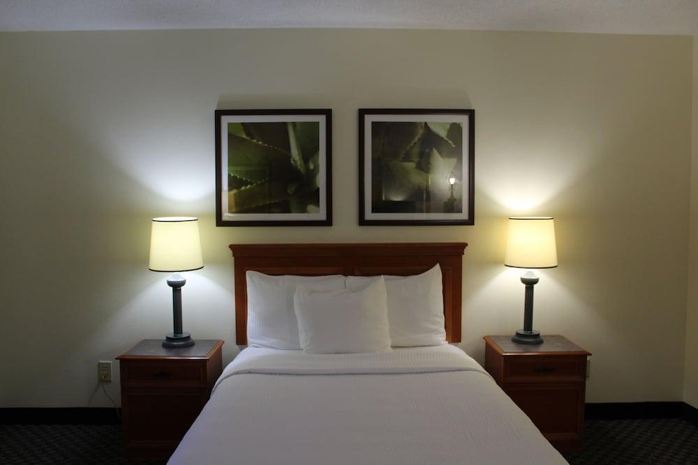 Hotel La Quinta By Wyndham Tampa Brandon West à Heartland Extérieur photo